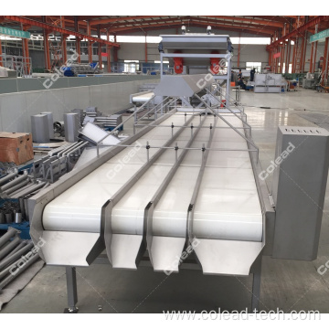 SUS304 Vegetable and fruit selecting conveyor